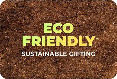 Go Green: Sustainable Corporate Gifting Solutions